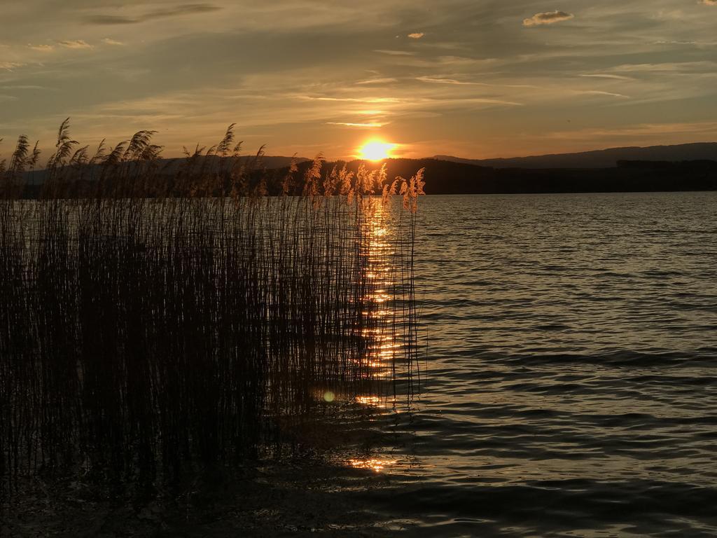 Chez Pio Διαμέρισμα Murten Εξωτερικό φωτογραφία